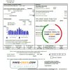 USA Pennsylvania Duquesne light utility bill template in Word and PDF format