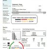 USA Pennsylvania PPL Electric utility bill template in Word and PDF format