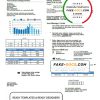 USA Philadelphia PPL utility bill template in Word and PDF format