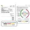 USA RG&E utility bill template in Word and PDF format