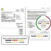 USA RG&E utility bill template in Word and PDF format
