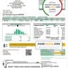 USA Rhode Island Pascoag Utility District utility bill template in Word and PDF format