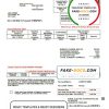 USA Rural Electric Cooperative utility bill template in Word and PDF format