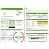 USA ScottishPower utility bill template in Word and PDF format (3 pages)