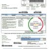 USA South Carolina Santee Electric Cooperative (SEC) proof of address utility bill template in Word and PDF format