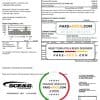 USA South Carolina SCE&G electricity utility bill template in Word and PDF format