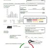 USA South Dakota Black Hills Energy utility bill template in Word and PDF format