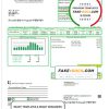 USA South Dakota Southeastern Electric utility bill template in Word and PDF format