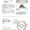 USA Spire gas utility bill template in Word and PDF format