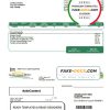 USA Steuben Country REMC utility bill template in Word and PDF format
