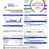 USA Texas Carrollton utility bill template in Word and PDF format
