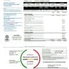 USA Texas Champion Energy Services proof of address utility bill template in Word and PDF format