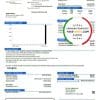 USA Texas City of Corsicana utility bill template in Word and PDF format