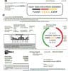 USA Texas CoServ utility bill template in Word and PDF format