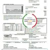 USA Texas CPS utility bill template in Word and PDF format