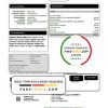 USA Texas Direct Energy utility bill template in Word and PDF format