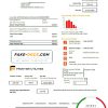 USA Texas Frontier Utilities utility bill template in Word and PDF format