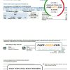 USA Texas Medina Electric utility bill template in Word and PDF format