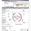 USA Texas Summer Energy easy fillable utility bill template in Word and PDF format