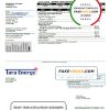 USA Texas Tara Energy utility bill template in Word and PDF format