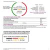 Germany T Mobile utility bill template in Word and PDF format