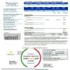 USA Texas TriEagle utility bill template in Word and PDF (.doc and .pdf) format