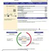 USA Think Energy utility bill template in Word and PDF format