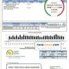 USA Tri-County Electric Cooperative utility bill template in Word and PDF format