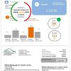 USA Vermont Green Mountain Power electricity utility bill in Word and PDF format