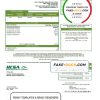 USA Virginia HCSA utility bill template in Word and PDF format