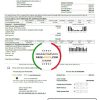 USA Washington Chelan County PUD utility bill template in Word and PDF format