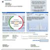 USA Washington City of Lacey water utility bill template in Word and PDF format (proof of address)