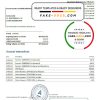 Belarus Alfa bank statement template in Word and PDF format