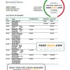 Belarus Belinvest bank statement template in Excel and PDF format
