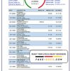 Belgium AXA bank statement easy to fill template in .xls and .pdf file format