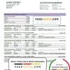 Belgium Beobank statement template in Word and PDF format