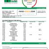 Benin Bank of Africa bank statement template in Word and PDF format