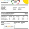 Bolivia Banco Union bank statement template in Word and PDF format
