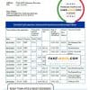 Botswana Bank ABC bank statement template in Word and PDF format