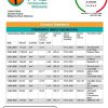 Botswana First National Bank statement template in Word and PDF format, good for address prove