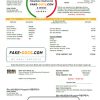 Iran Kiana Petro Energy Co utility bill template in Word and PDF format
