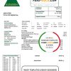 Iraq AlRasikh electricity utility bill template in Word and PDF format