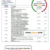 Burkina Faso Bank of Africa bank statement template in Word and PDF format