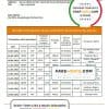 Burkina Faso Banque Atlantique bank statement template in Word and PDF format