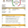Burkina Faso The Central Bank of West African States bank statement easy to fill template in Excel and PDF format