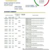 Cambodia Foreign Trade Bank of Cambodia bank statement easy to fill template in Excel and PDF format