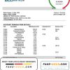 Cameroon Atlantic bank statement template in Word and PDF format