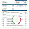 Cameroon BGFI Bank statement template in Word and PDF format