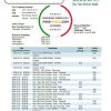 Cameroon Ecobank statement template in Word and PDF format