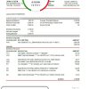 Cameroon UBA bank statement easy to fill template in Excel and PDF format